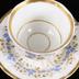 Conjunto de taza y plato