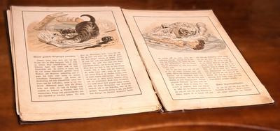 Libro de cuentos