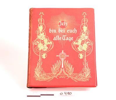 Libro "Sch bin bei euch alle cage"