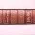 Biblia luterana
