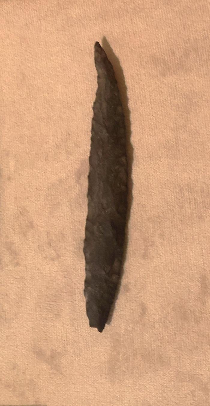 Desangrador
